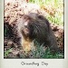 Groundhog Day by madamelucy