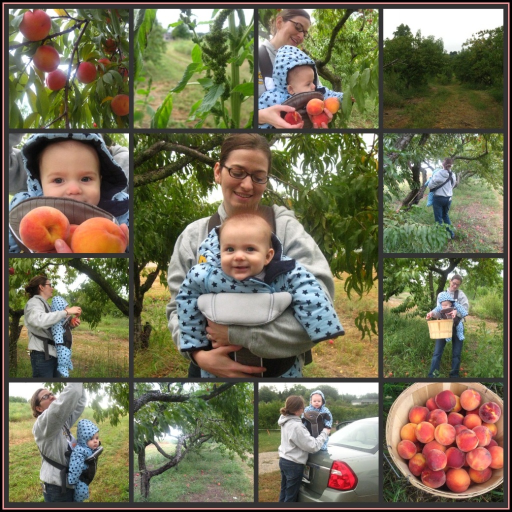 Peach Picking Collage by olivetreeann