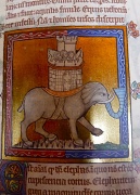 10th Sep 2011 - Ancient Elephants