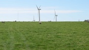 9th Sep 2011 - There Is Wind Farm Over That There Hill...