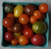 9th Sep 2011 - Tiny Heirloom Tomatoes
