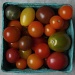 Tiny Heirloom Tomatoes by kerosene