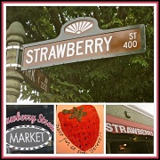 13th Sep 2011 - Strawberry Street