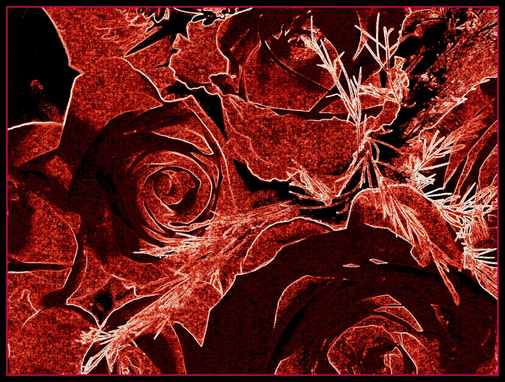 Roses by olivetreeann