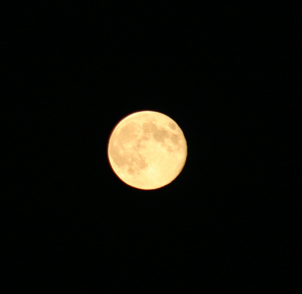 Full Moon by marilyn