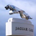Jaguar by moominmomma