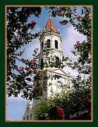 13th Sep 2011 - Cathedral-Basilica of St. Augustine, Florida 