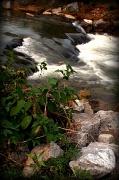 15th Sep 2011 - Like The Raging Waters