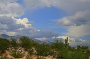 14th Sep 2011 - Clouds, Mountains, and Sagauro