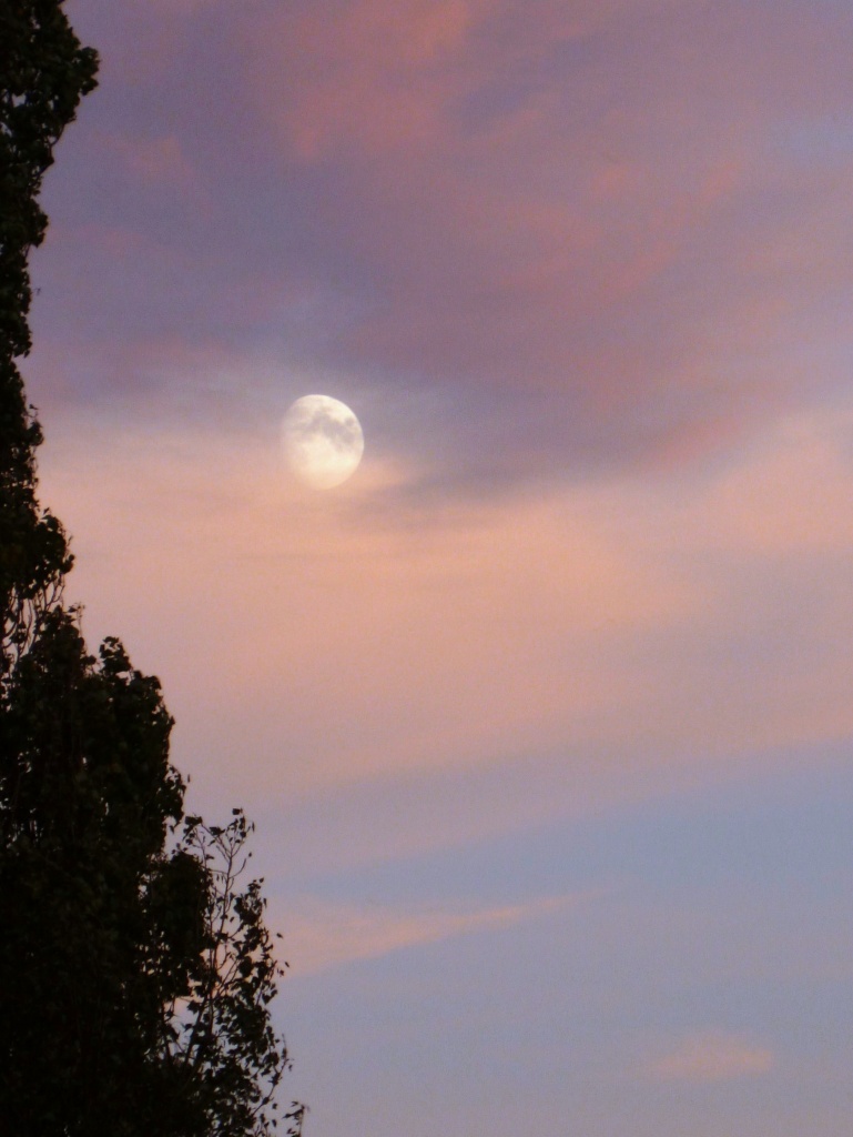 Sunset Moon. by moominmomma