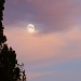 Sunset Moon. by moominmomma
