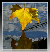 15th Sep 2011 - Ode to Autumn