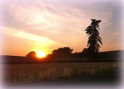 14th Sep 2011 - Harvest Sunset