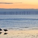 Offshore wind farm by blightygal