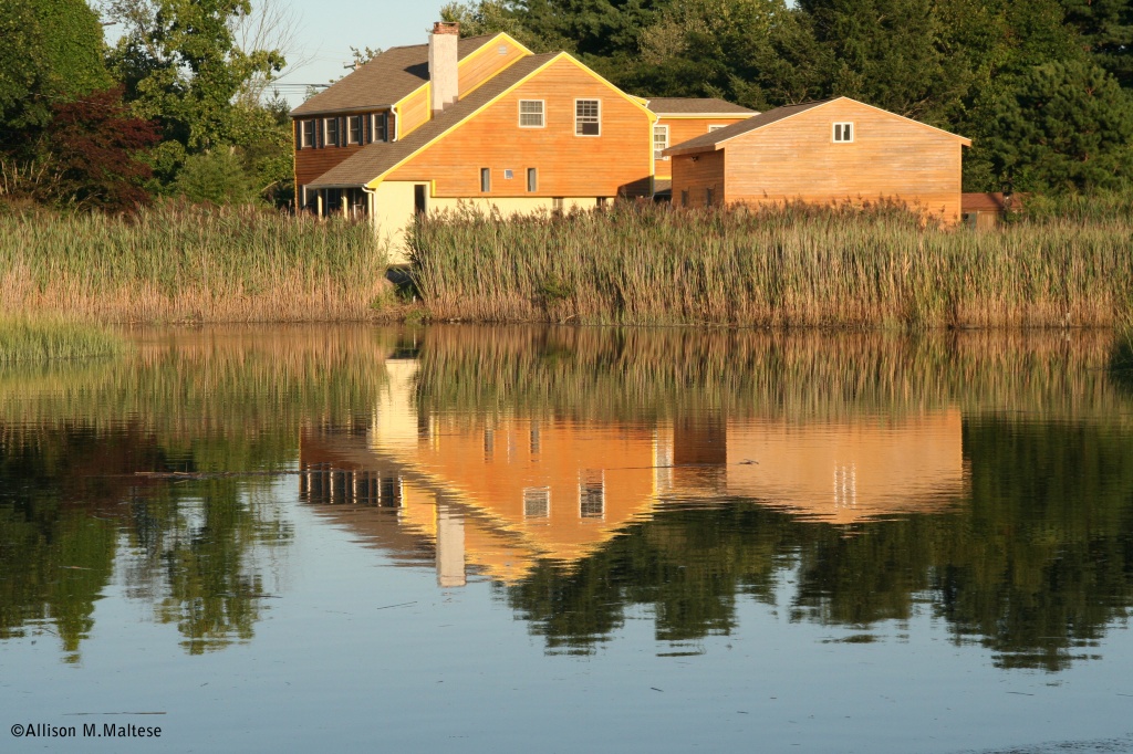 Watery Reflections 2 by falcon11