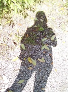 15th Sep 2011 - My Shadow