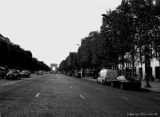 16th Sep 2011 - Crossing the Champs Elysees