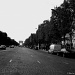 Crossing the Champs Elysees by parisouailleurs