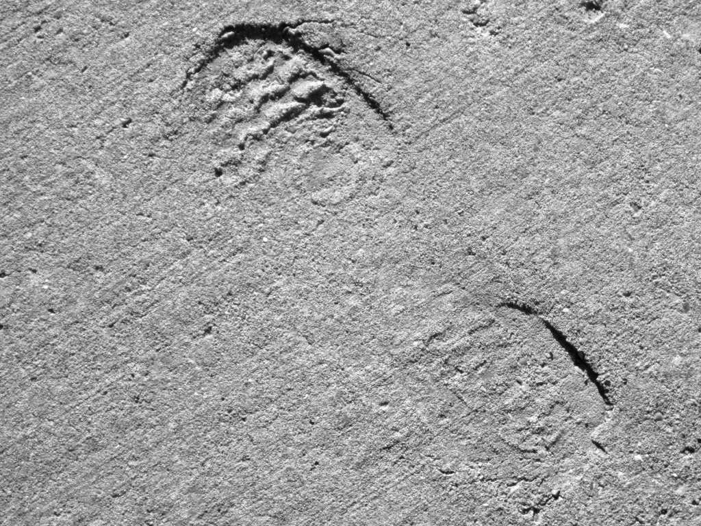 Permanent Footprint by laurentye