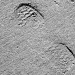 Permanent Footprint by laurentye
