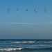 Peace by harsha
