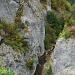 Cerna Gorge ,Romania by meoprisan