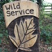 Wild Service! by daffodill