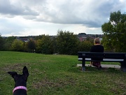 16th Sep 2011 - Ruby and Jane Admiring the view ! 