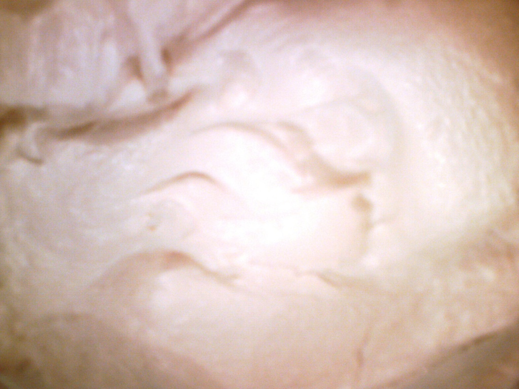 Whipped Cream 9.17.11 by sfeldphotos