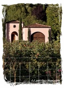 2nd Oct 2012 - Avial Tuscany