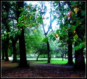 19th Sep 2011 - Whitworth park - colours of autumn