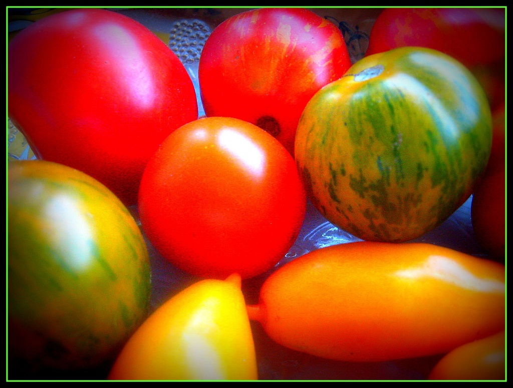 Heirloom Tomatoes by olivetreeann