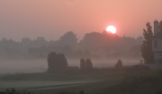 19th Sep 2011 - Pink mist
