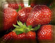 19th Sep 2011 - "strawberry fields forever" by the beatles