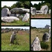 Megaliths at Carnac by judithdeacon