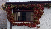 20th Sep 2011 - window frame