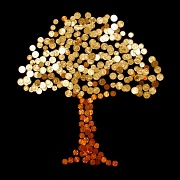 20th Sep 2011 - Money Tree