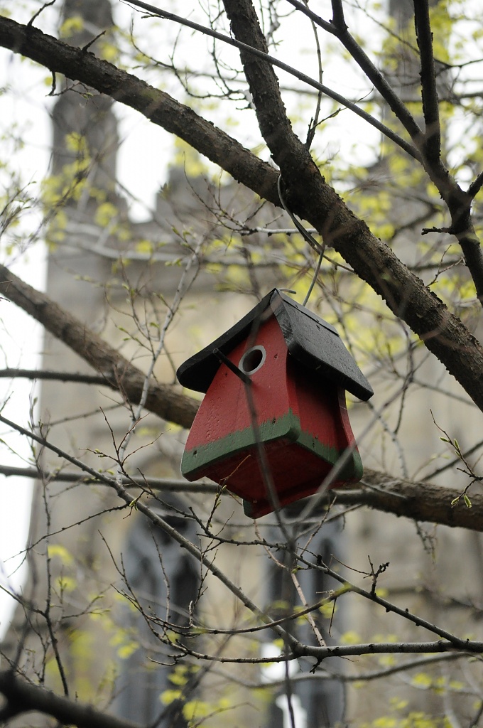 Birdhouses in Montreal's park by dora