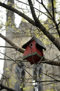 1st May 2010 - Birdhouses in Montreal's park