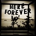 Here Forever... by grecican