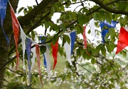 1st May 2010 - The Village Bunting
