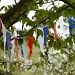 The Village Bunting by helenmoss