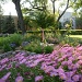 Peace Garden in memory of Anastasia De Sousa - Dawson College by dora