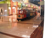 21st Sep 2011 - Trackless Train