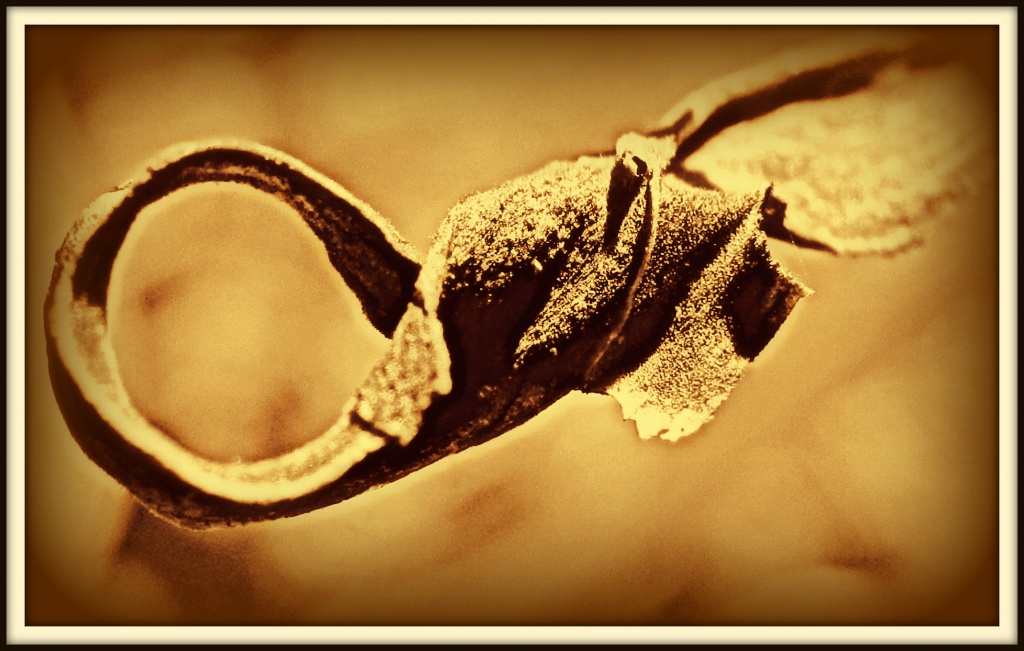 Abstract In Sepia by glimpses