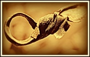 23rd Sep 2011 - Abstract In Sepia