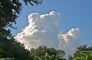 23rd Sep 2011 - Cloud