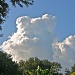 Cloud by stcyr1up
