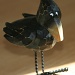 Crow 264_101_2011 by pennyrae