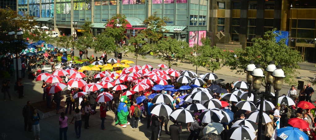 March of 1000 Umbrellas  by dora